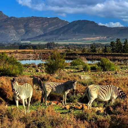 Welbedacht Game & Nature Reserve Талба Екстер'єр фото