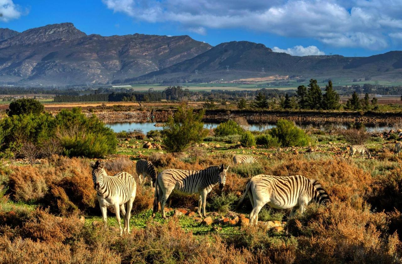 Welbedacht Game & Nature Reserve Талба Екстер'єр фото