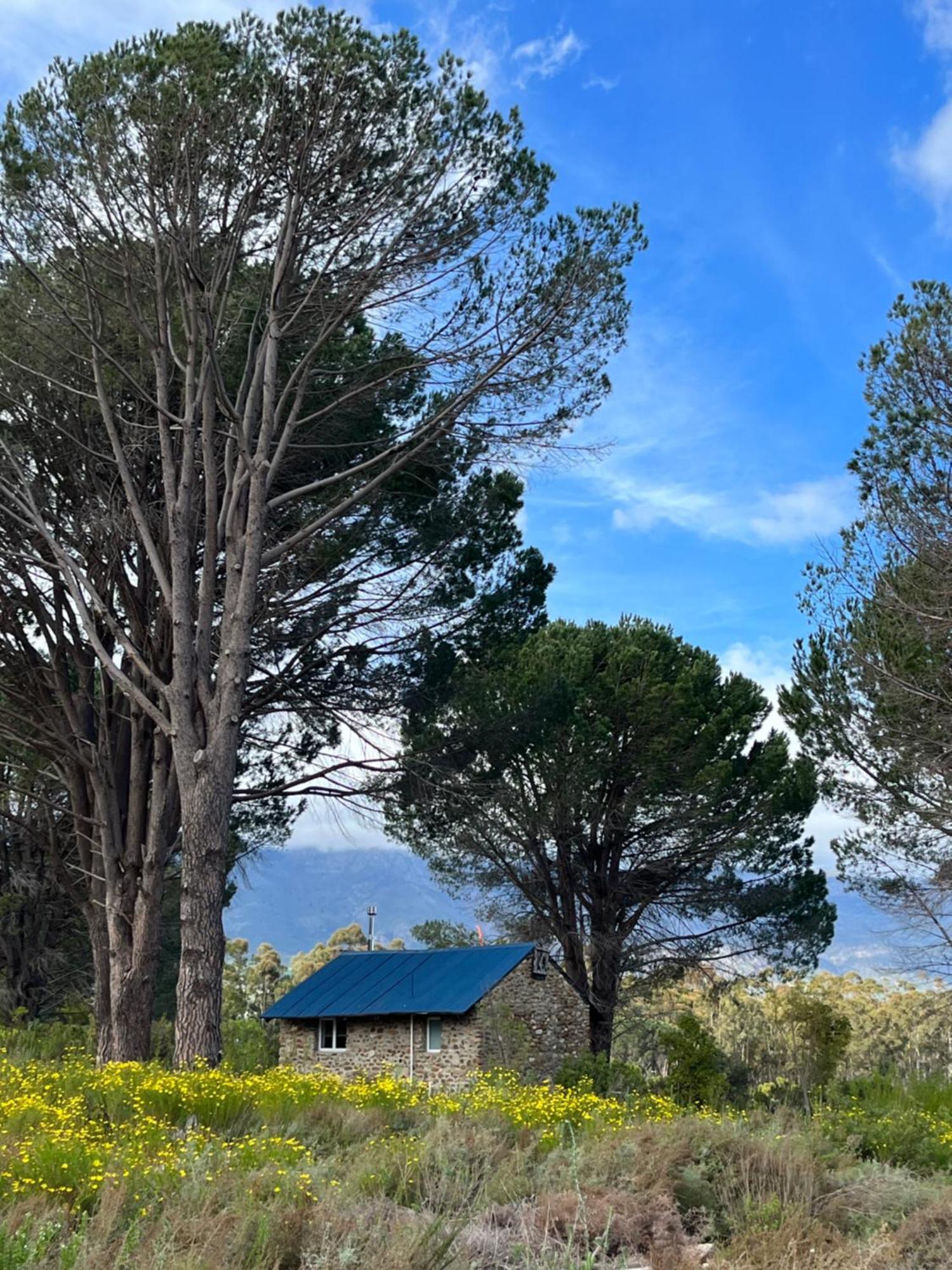 Welbedacht Game & Nature Reserve Талба Екстер'єр фото